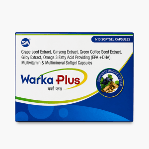 Warka Plus